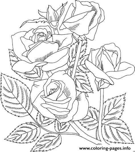 Realistic Rose Coloring Page Printable