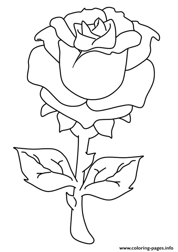 The Beautiful Rose A4 Coloring page Printable
