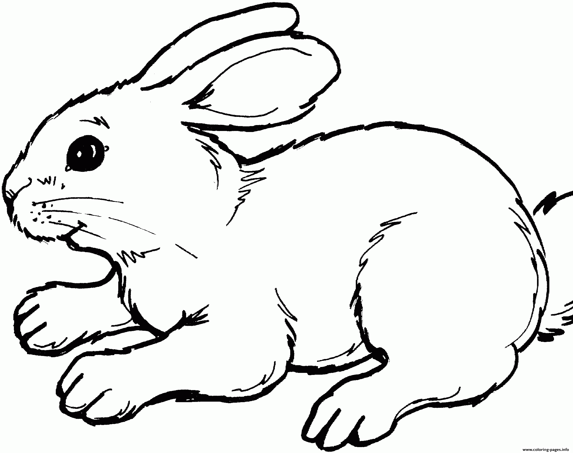 Easter Bunny Real coloring
