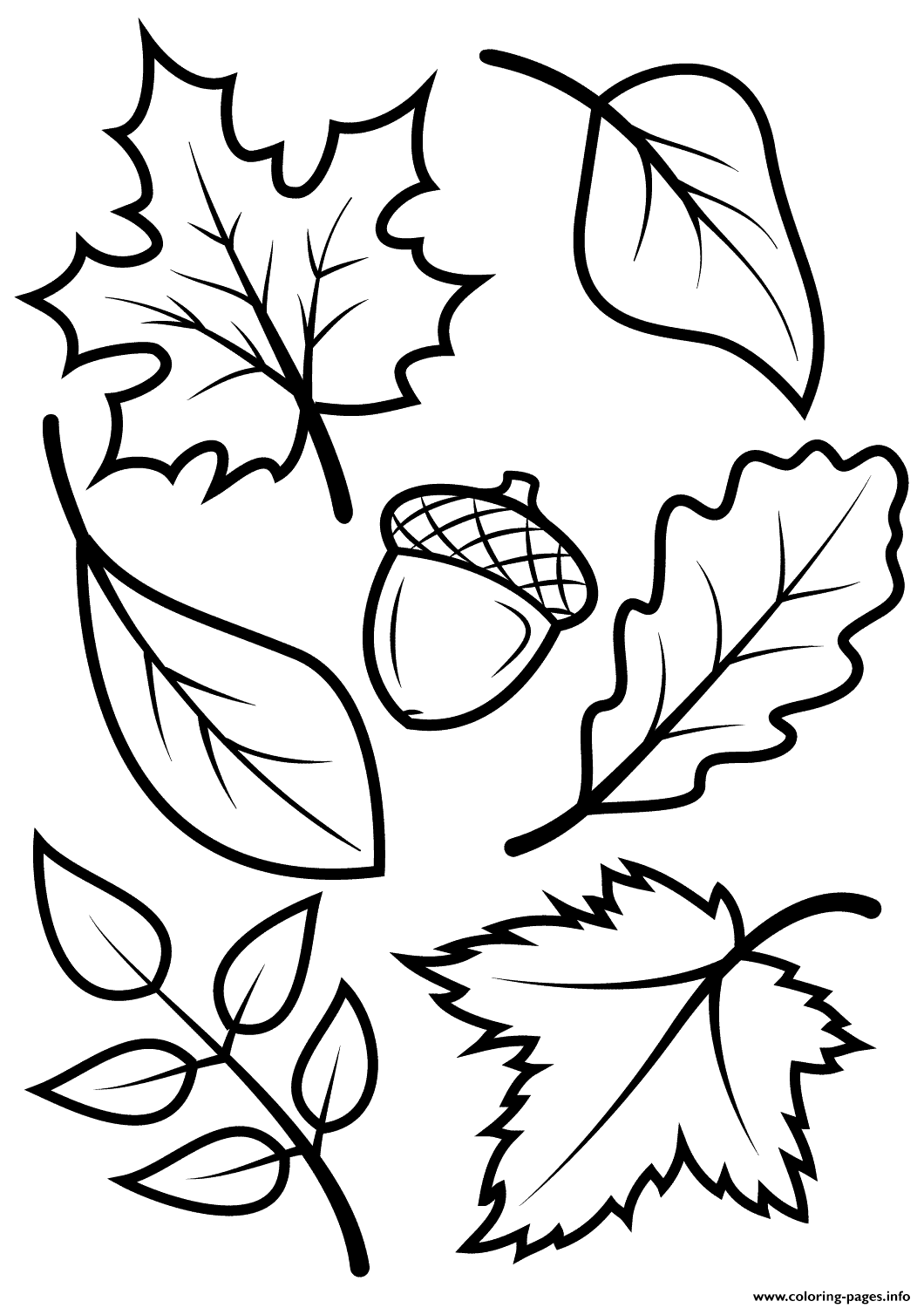 Fall Leave Nature Coloring Pages Printable