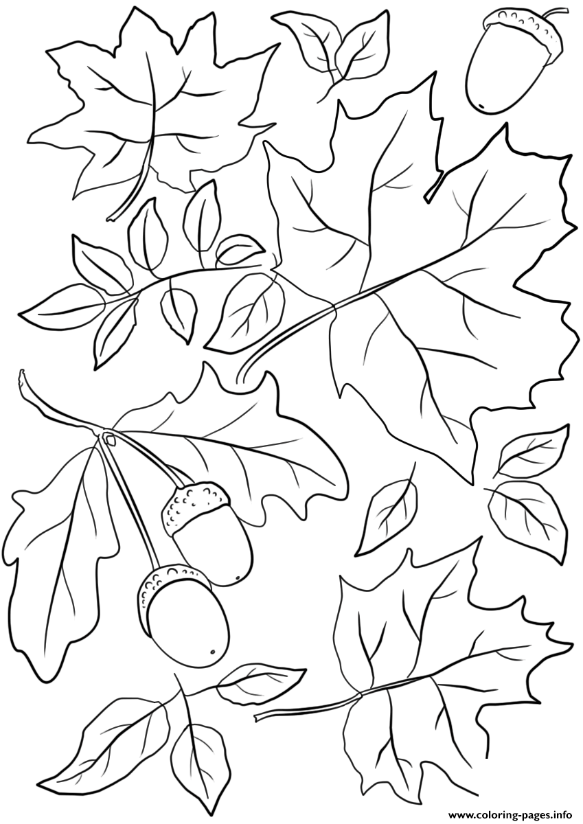 Autumn Leaves And Acorns Fall coloring