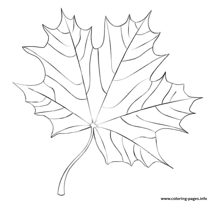 Maple Leaf Fall coloring