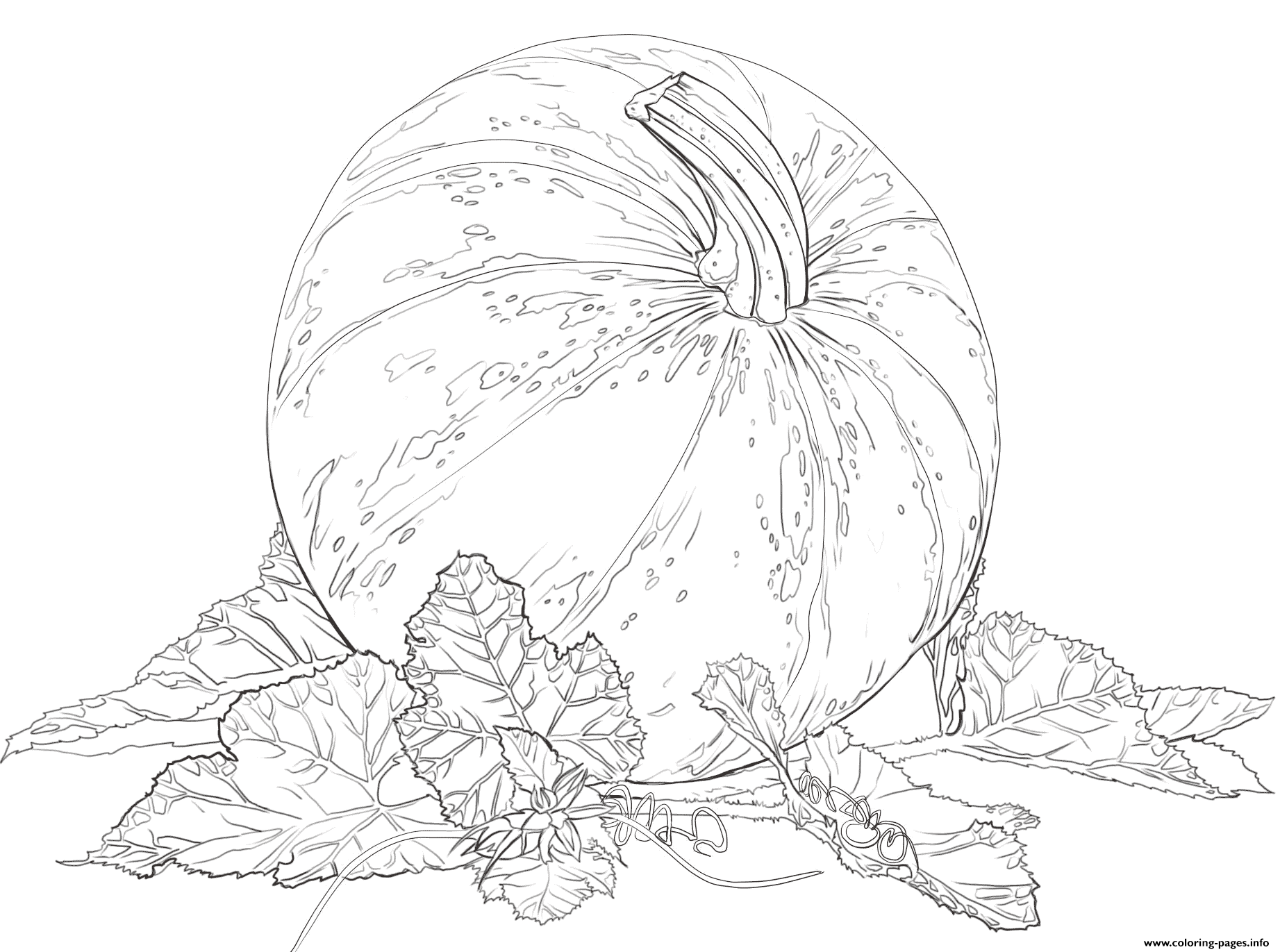 Pumpkin With Leaves For Halloween coloring