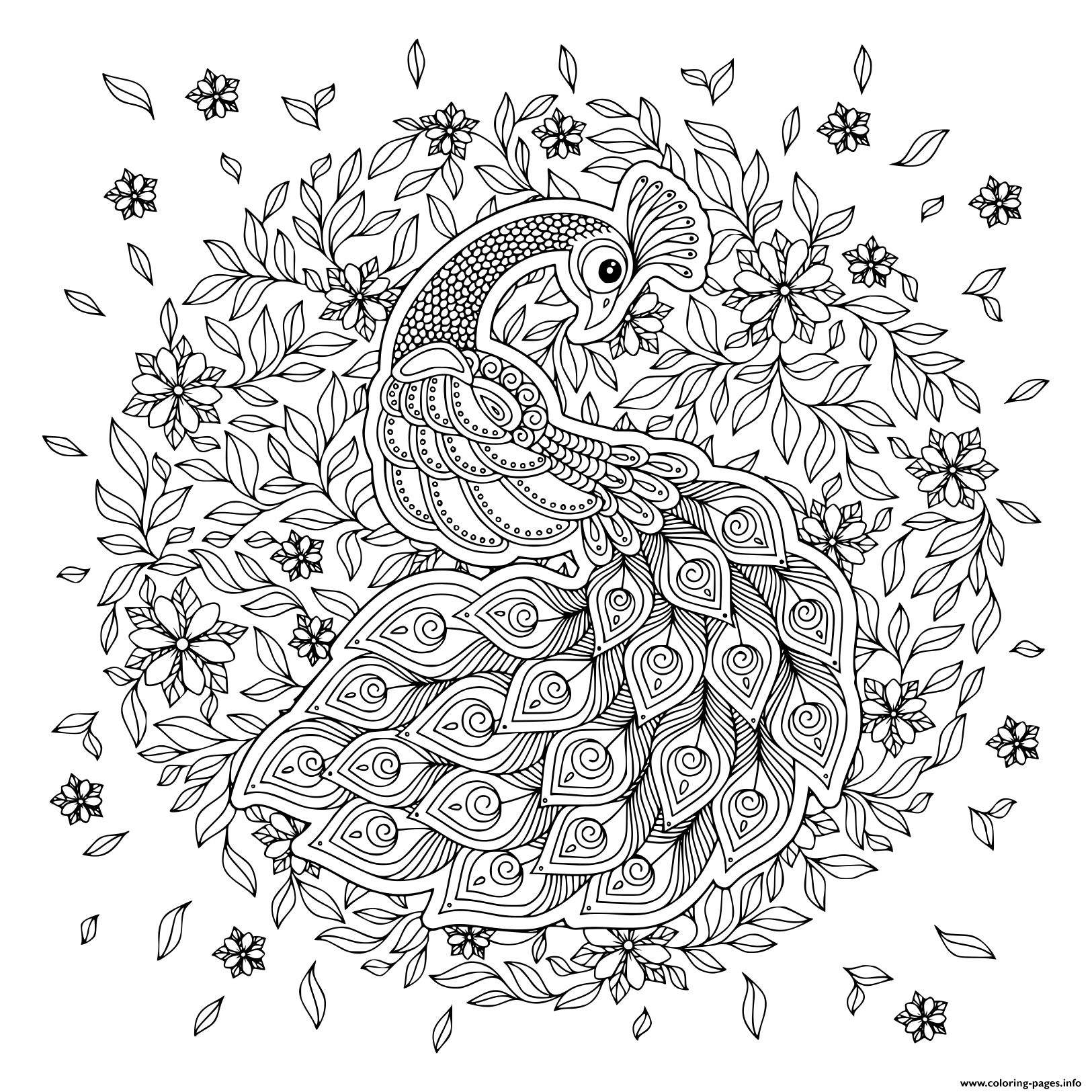 Peacock Adult Antistress Black And White Coloring Pages Printable
