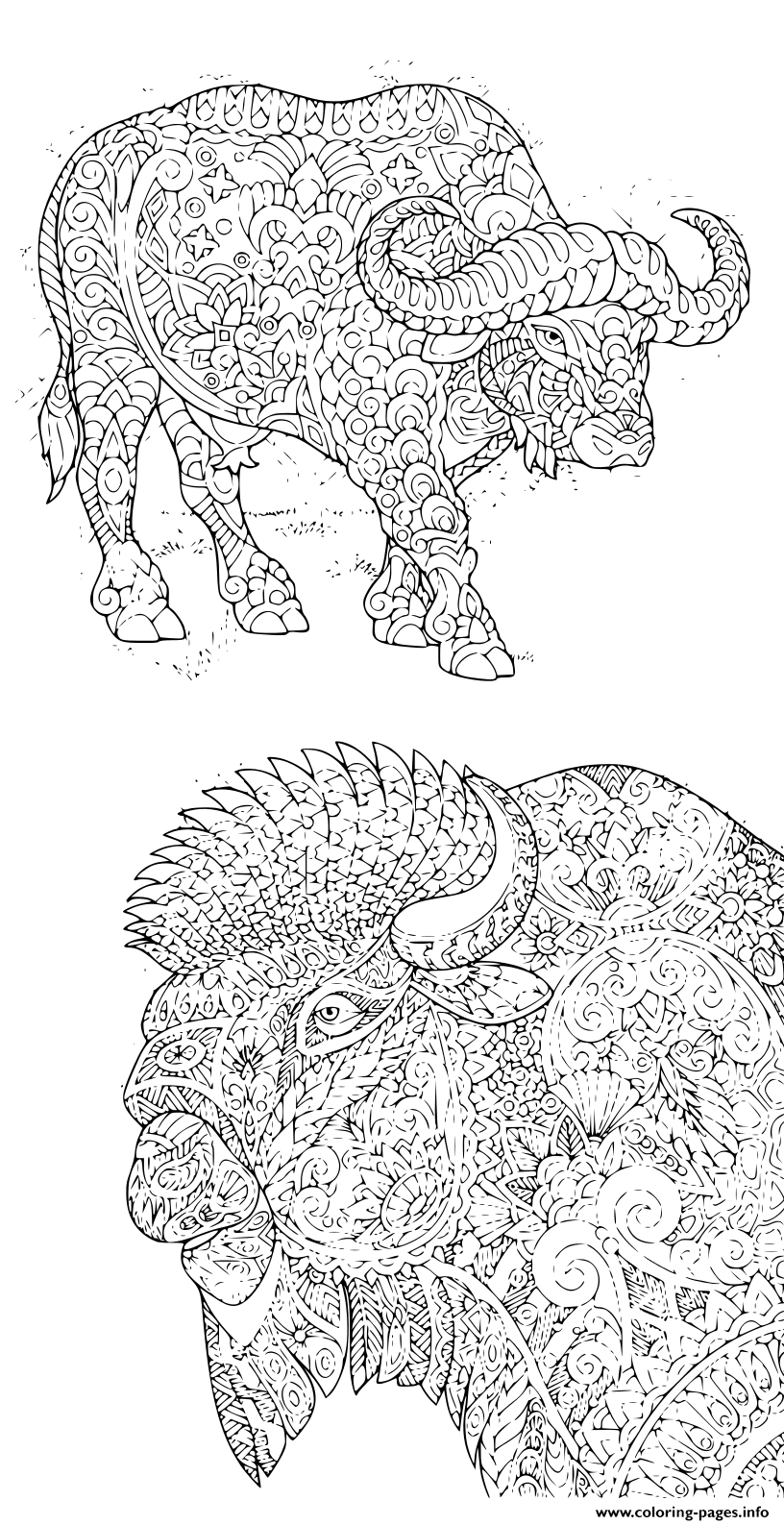 Adults With Buffalo And Bison Antistress coloring
