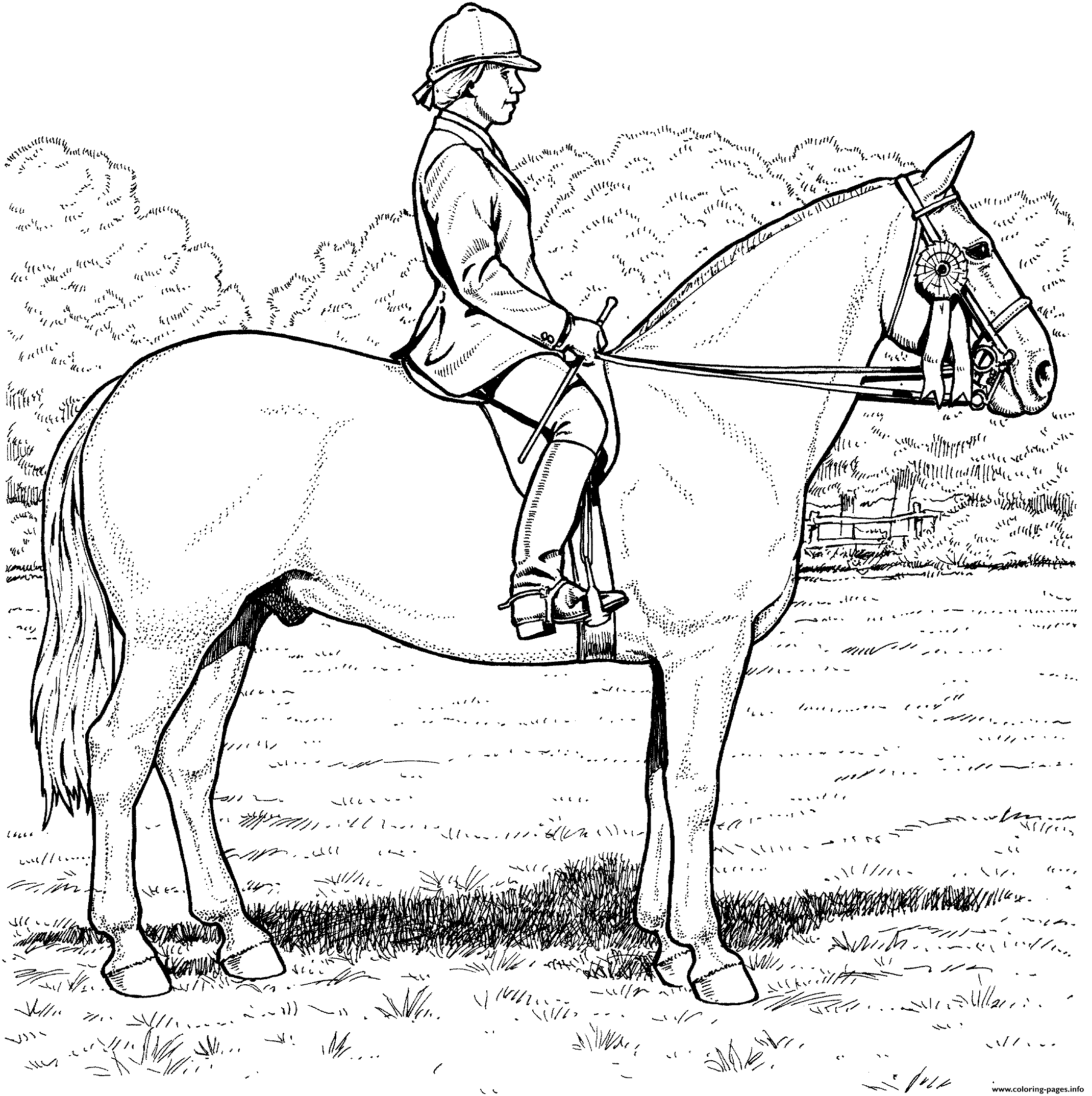 Equestrian Coloring page Printable