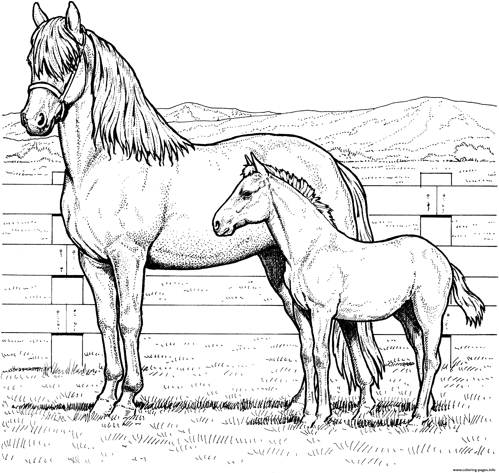 Horse Family Coloring page Printable