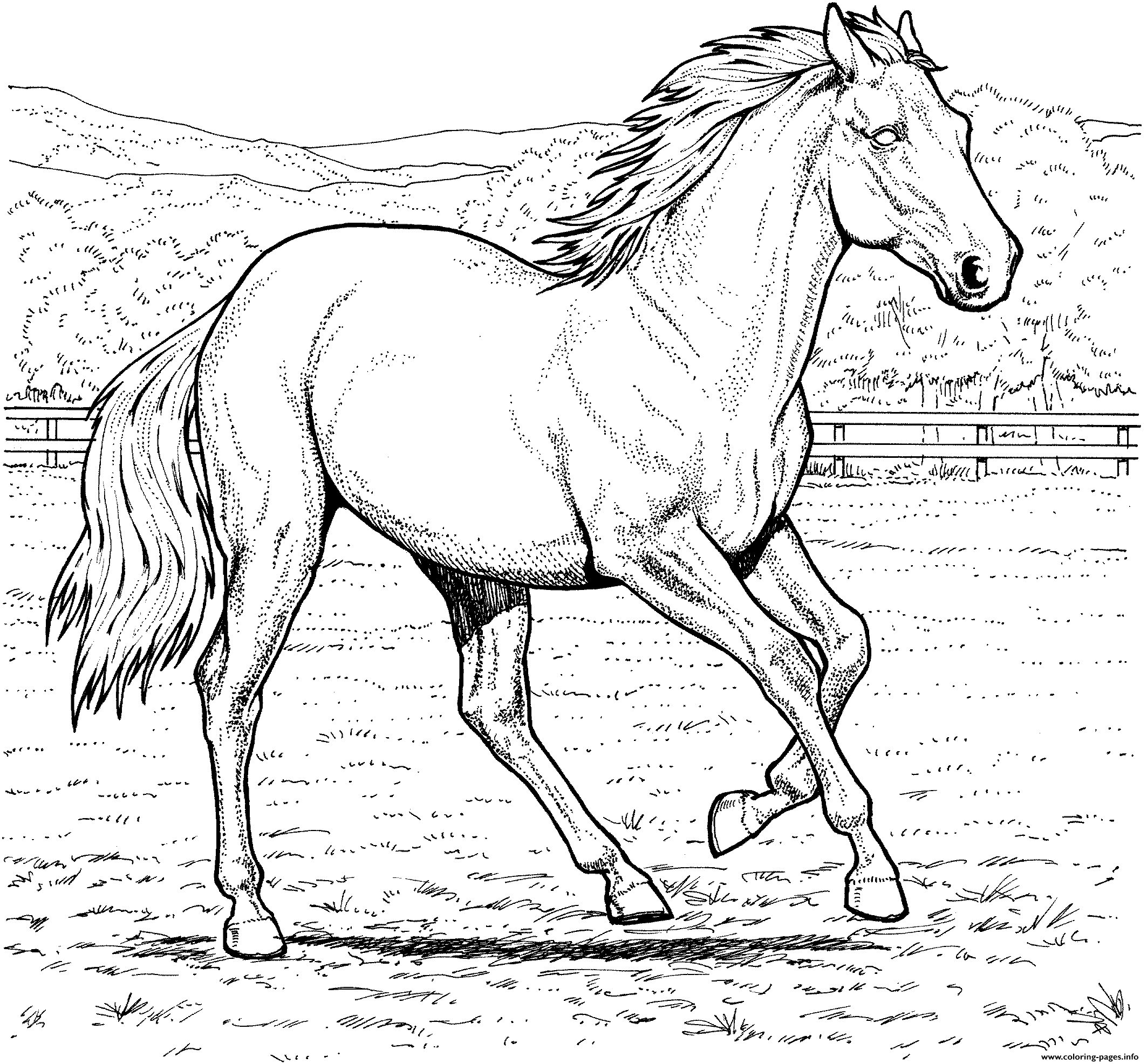 Download Galloping Horse Coloring Pages Printable