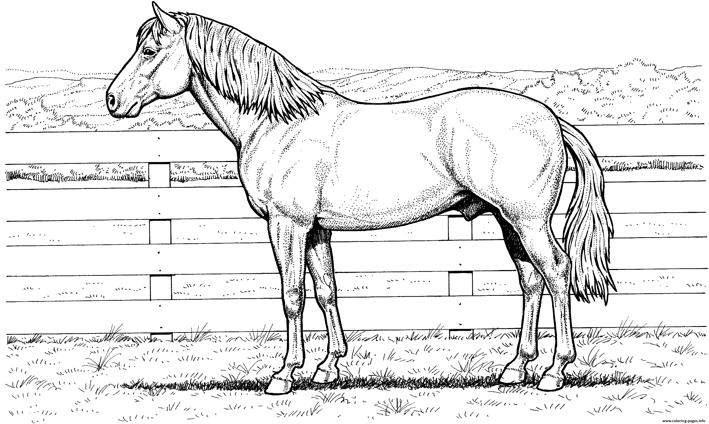 coloring books with horses