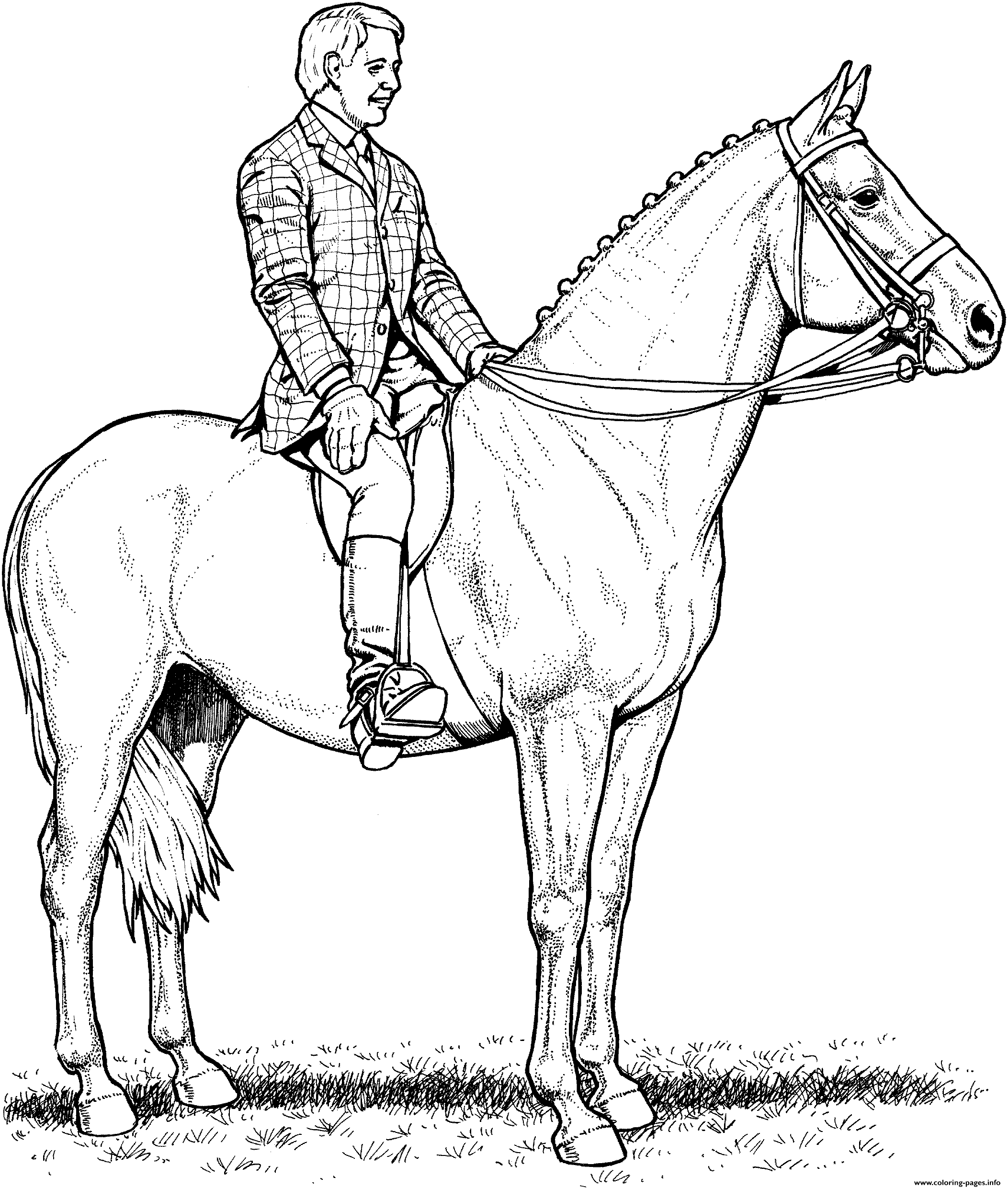 Horse And Rider Coloring page Printable
