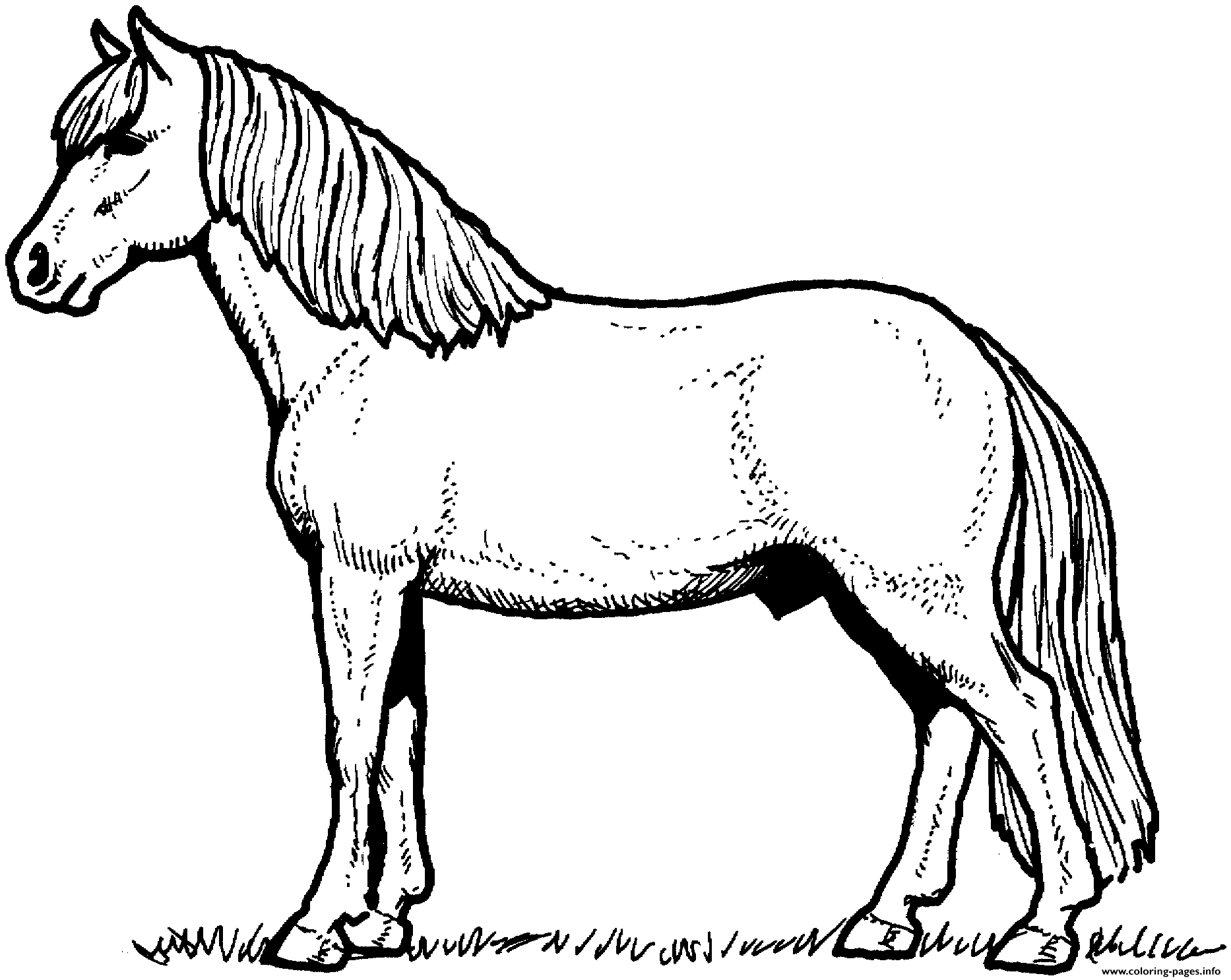 Silhouetted Horse Coloring Pages Printable