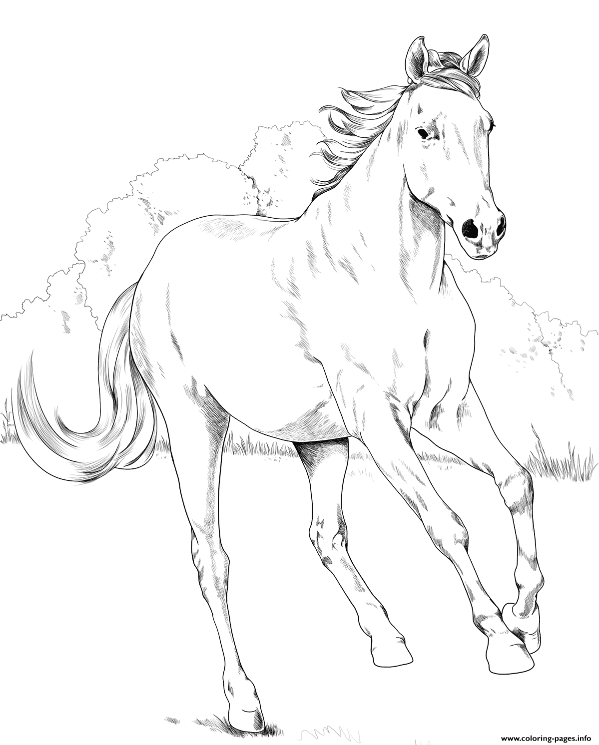 Horse Mustang Mare Coloring Pages Printable