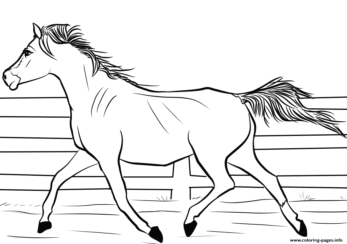 horse coloring printable arab
