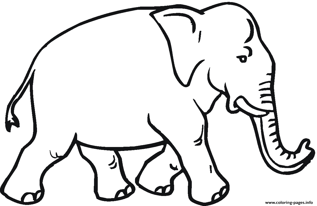 Elephant Wild Animal coloring