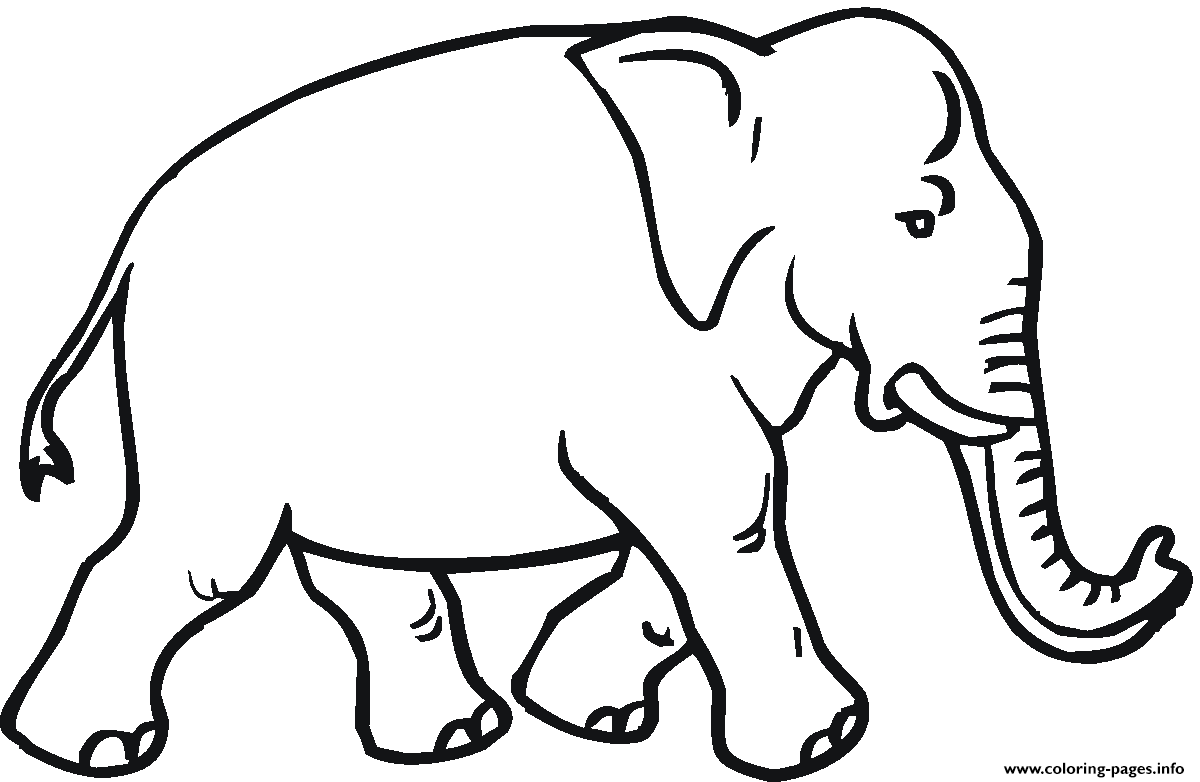 Elephant Wild Animal Coloring page Printable