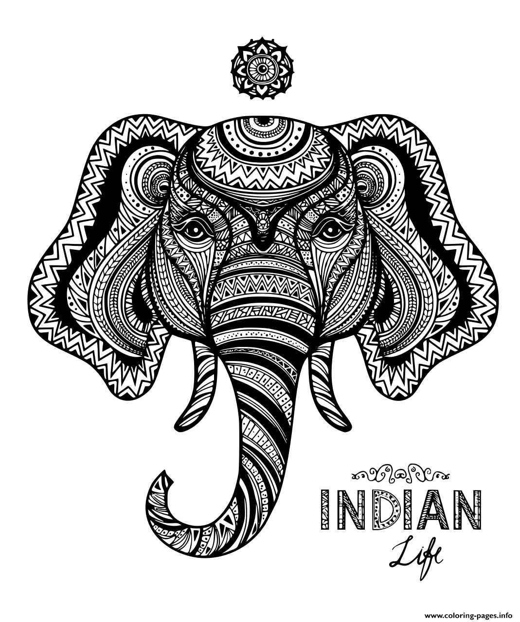 Elephant Indian Adult Zentangle Coloring Pages Printable