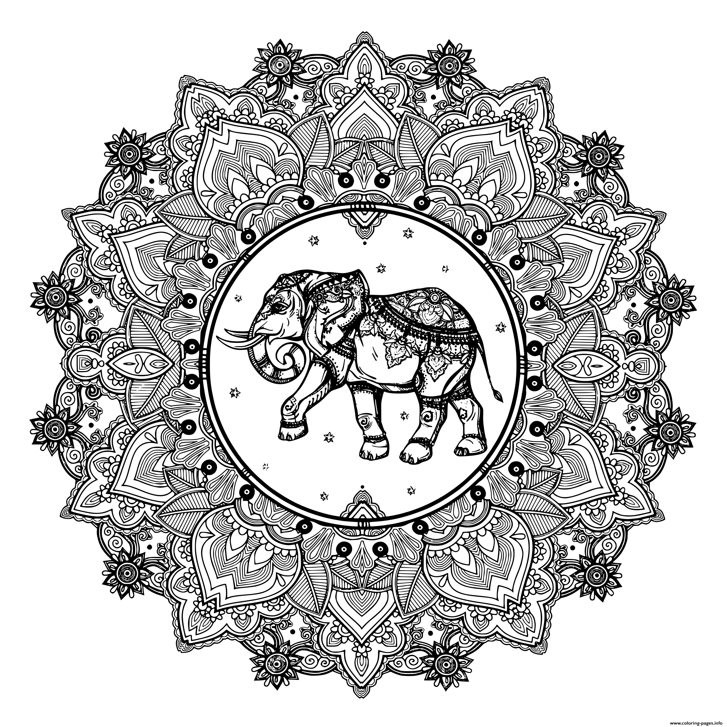 Adult Mandala Elephant India Zentangle Coloring Pages Printable