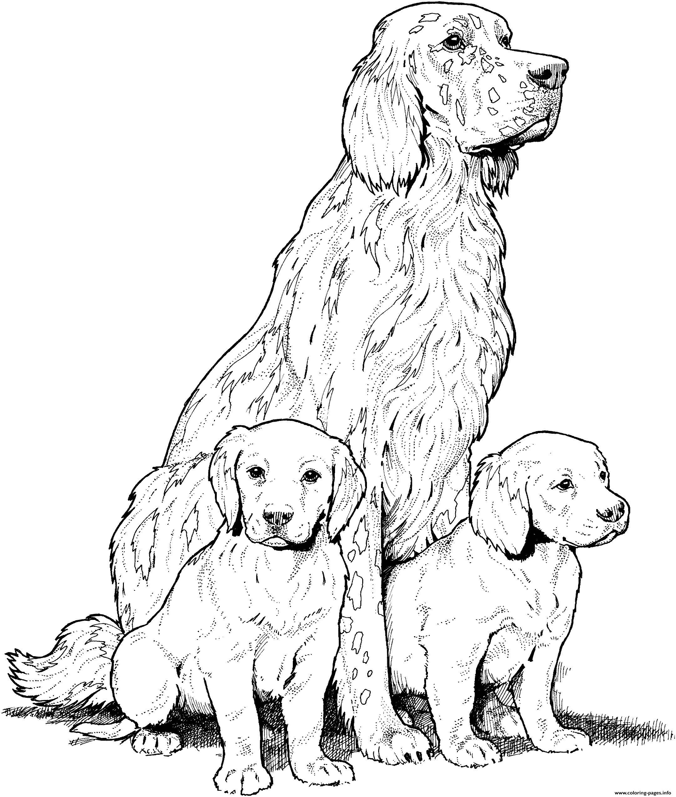 Dog Breed coloring