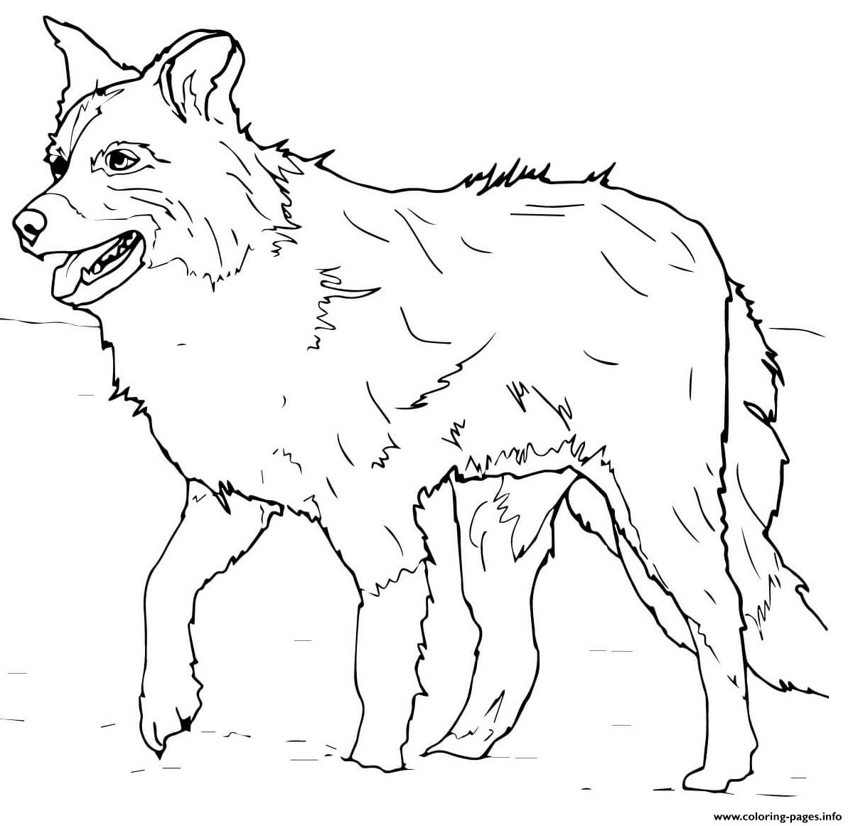 Printable Hot Dog Coloring Page Coloring Printable Beagles Colouring 
