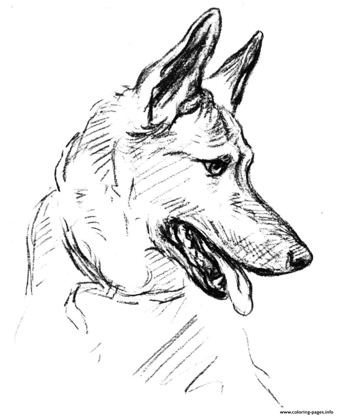 German Shepherd Dog coloring