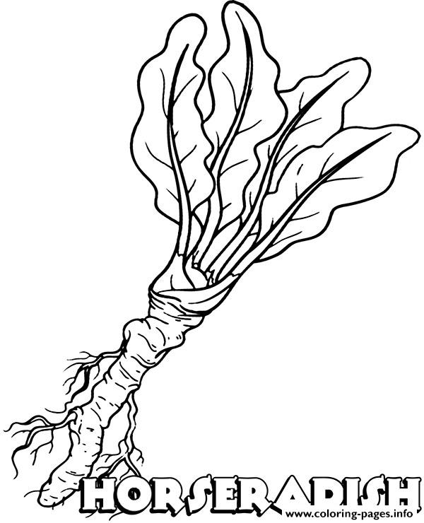 Vegetable Horseradish coloring