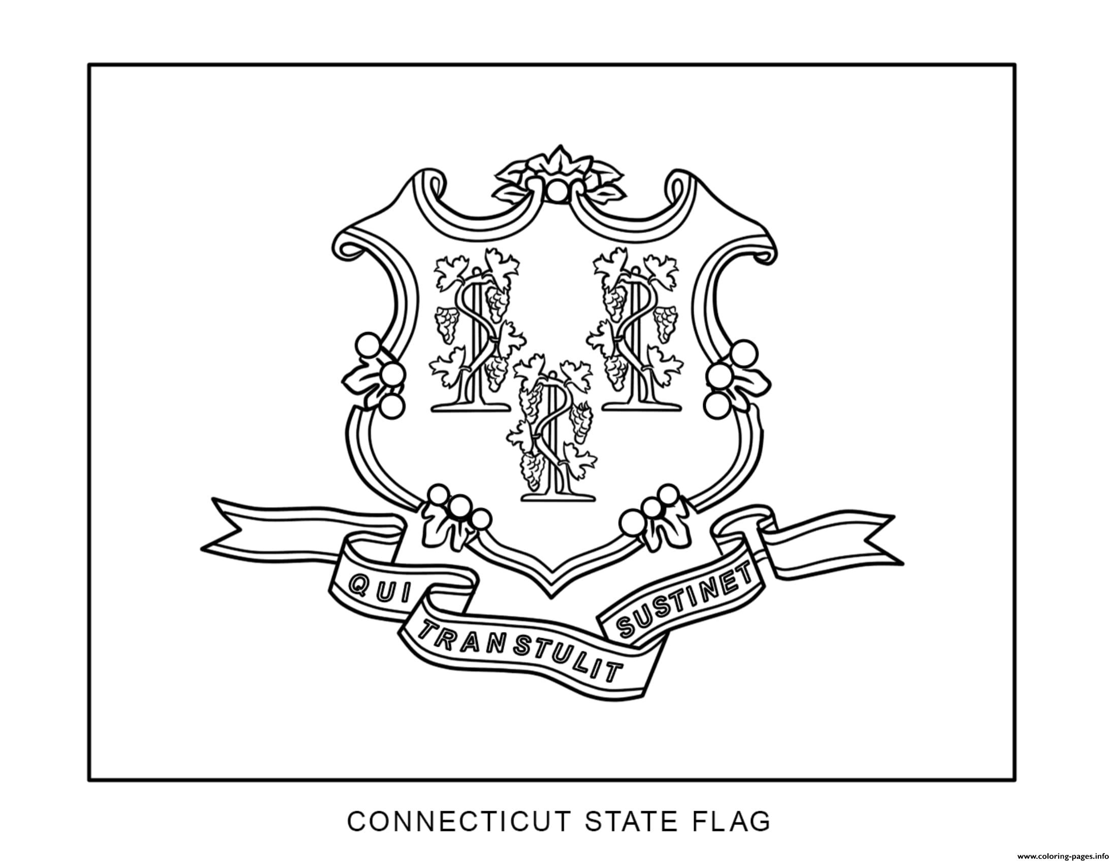 Connecticut Flag US State coloring