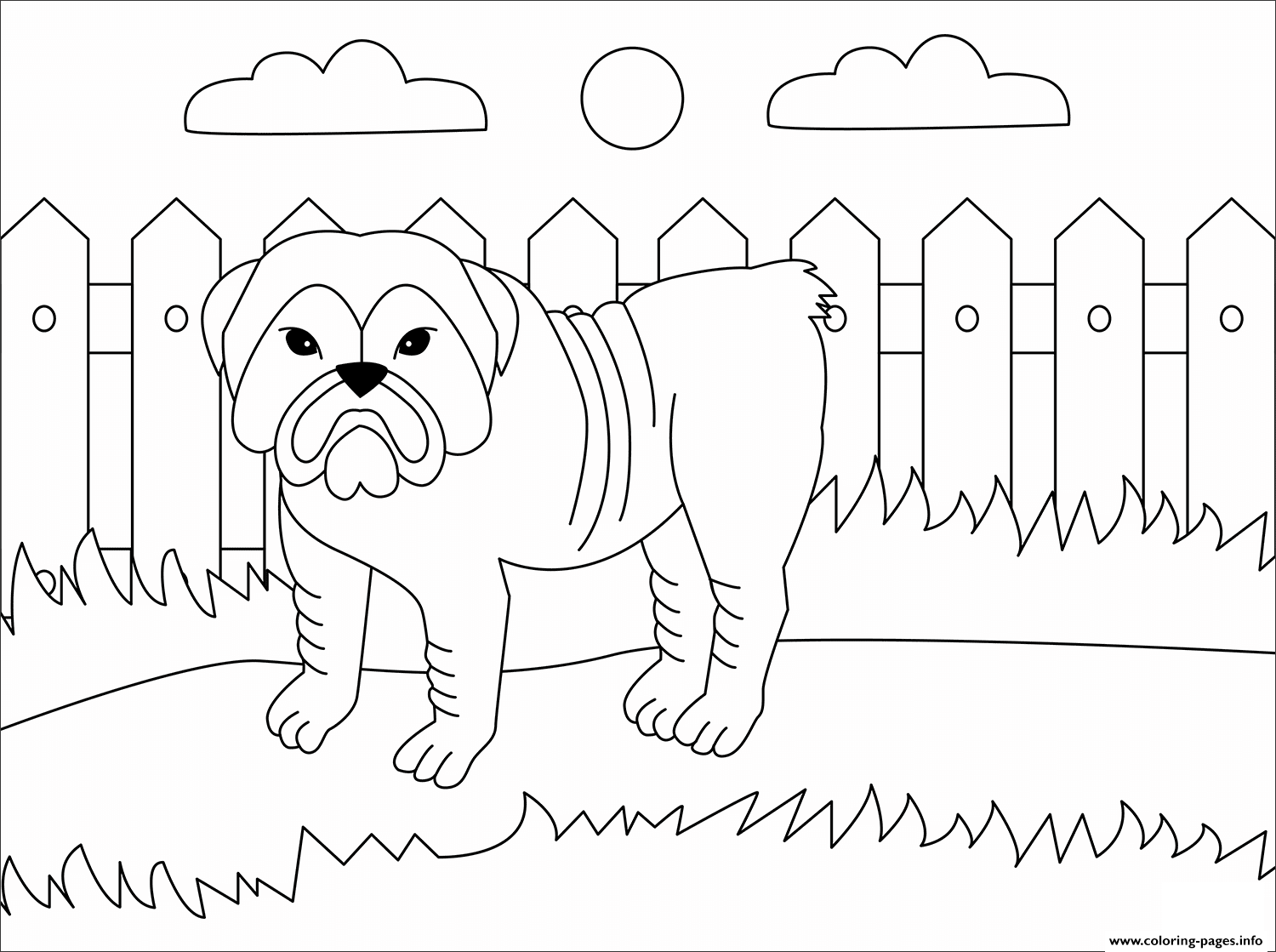 Bulldog Animal Simple coloring