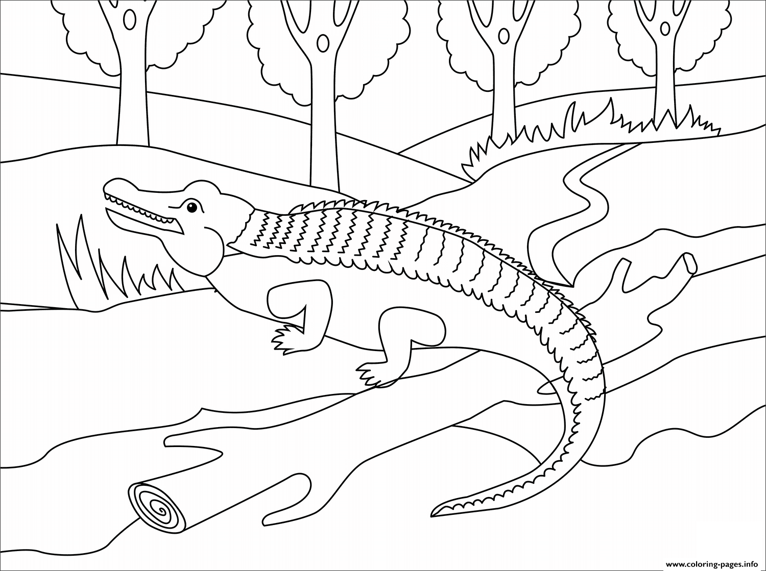 Aligator Animal Simple coloring