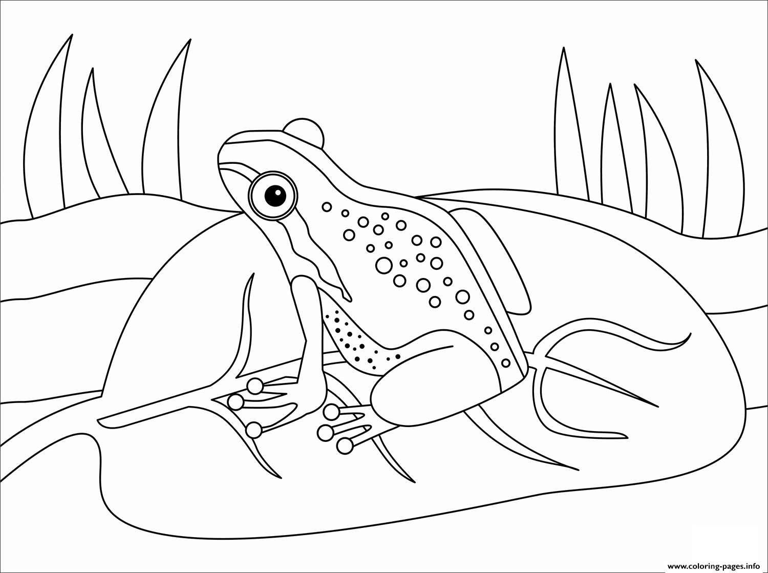 Frog Coloring Page for Preschooler