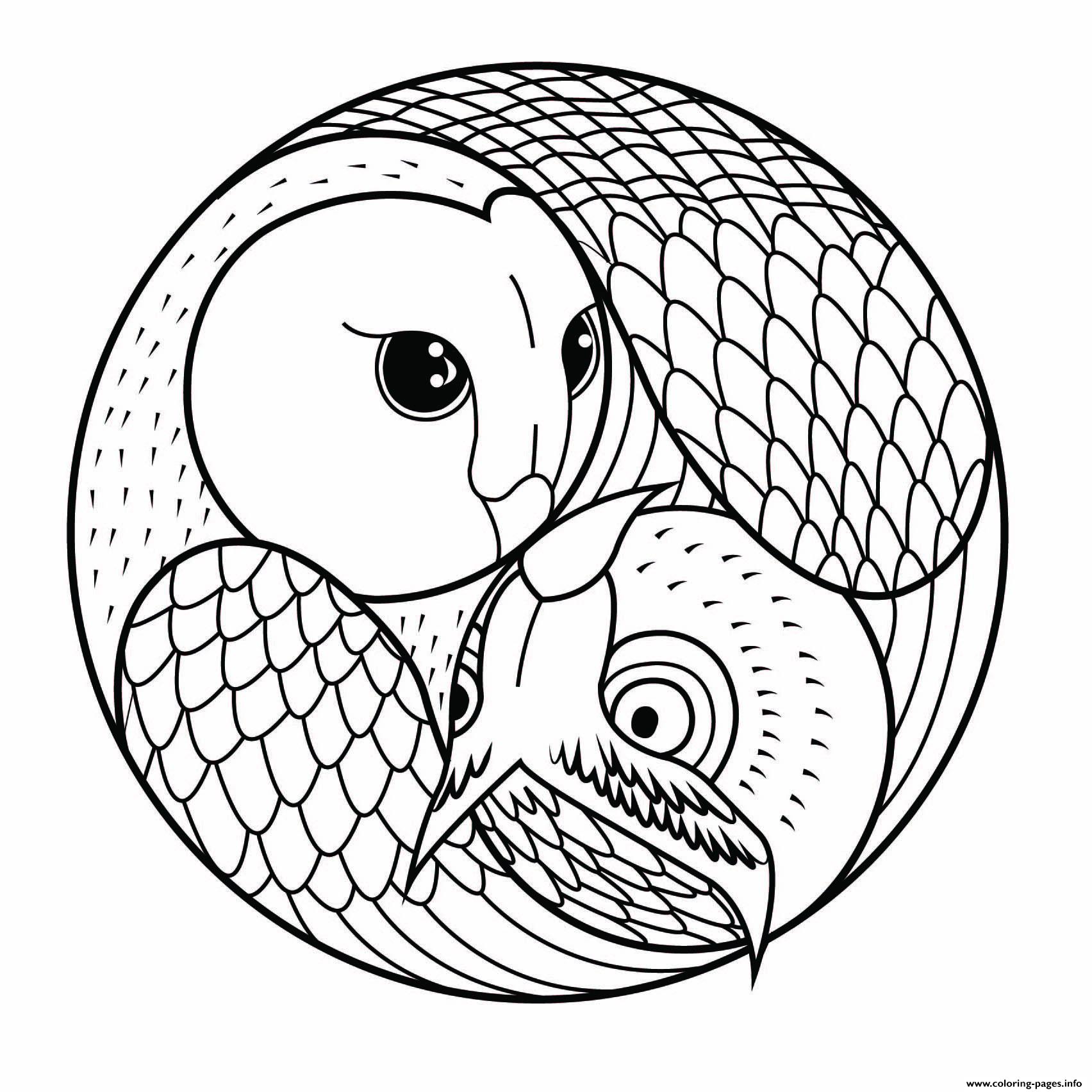 Mandala Simple With 2 Owls Coloring Pages Printable