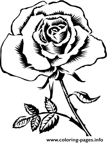 Pretty Rose Realistic Coloring Pages Printable