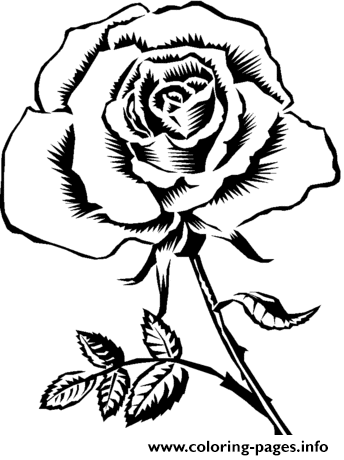 Featured image of post Rose Realistic Flower Coloring Pages : We have collected 36+ realistic rose coloring page images of various designs for you to color.