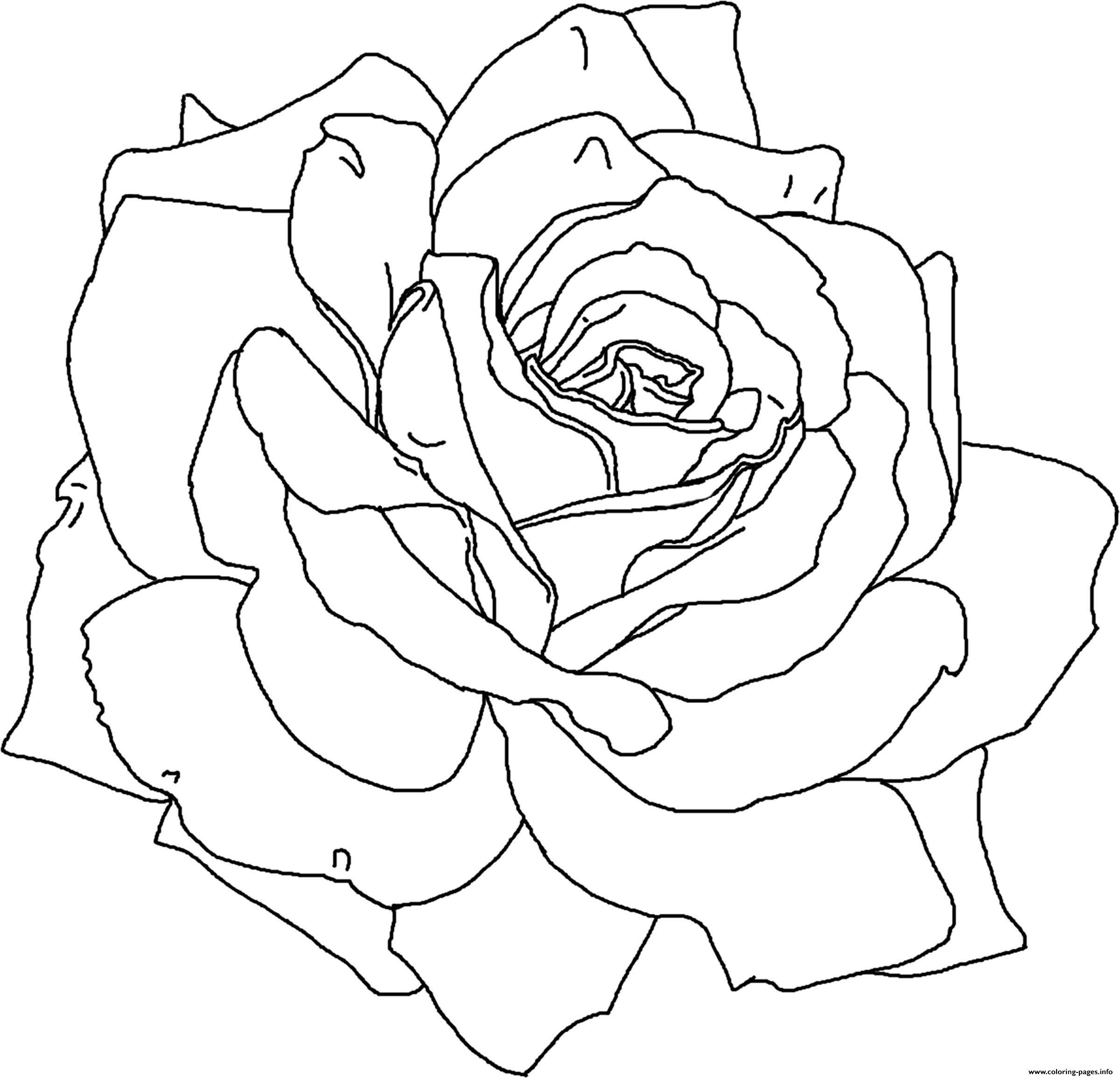Free Printable Coloring Pages Roses Rose Coloring Pages Download And 
