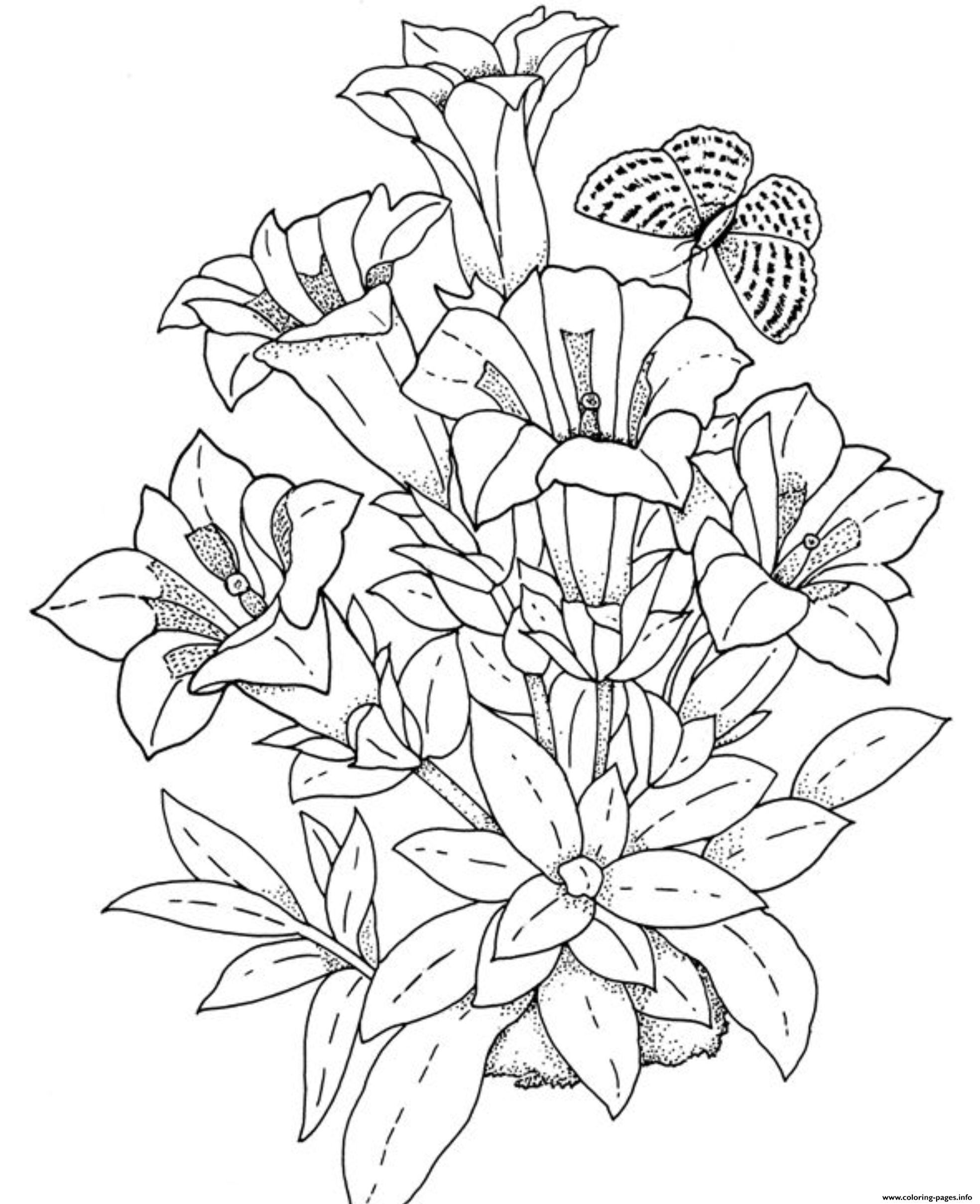 Realistic Flowers Coloring Page Printable