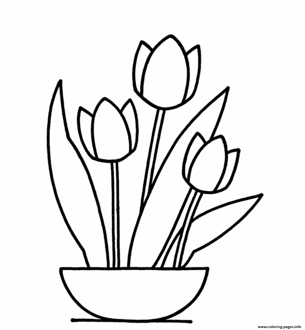 Tulip Flower coloring