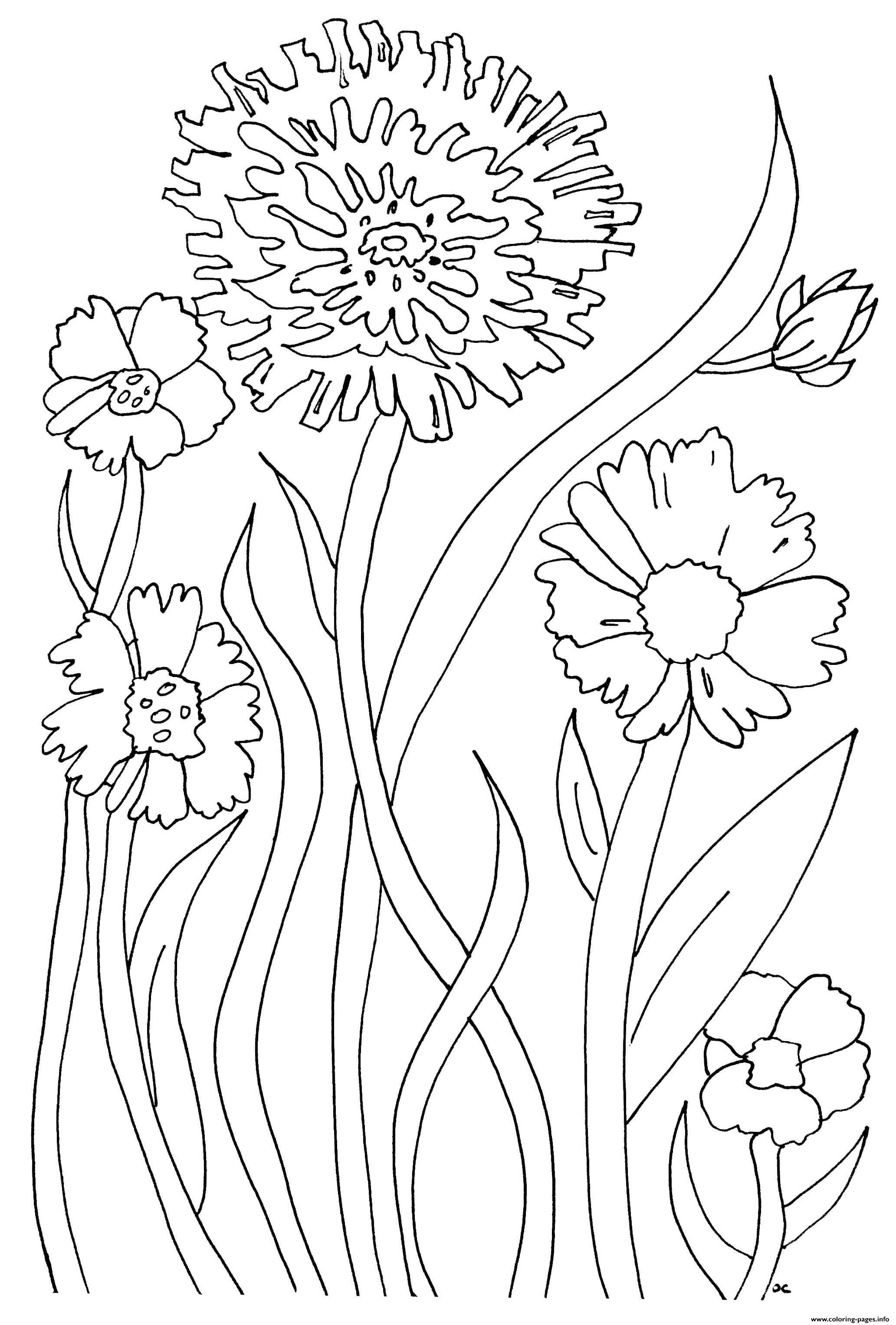 Simple Flowers For Adult Relaxing Coloring Pages Printable