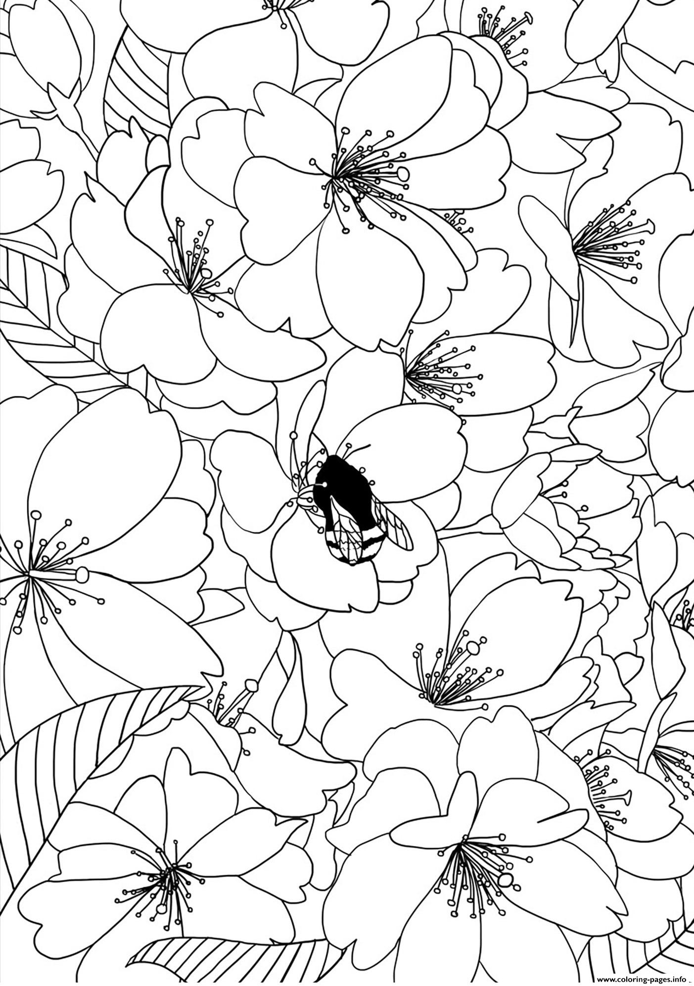 Flower Adult Cherry Tree By Mizu Coloring Pages Printable