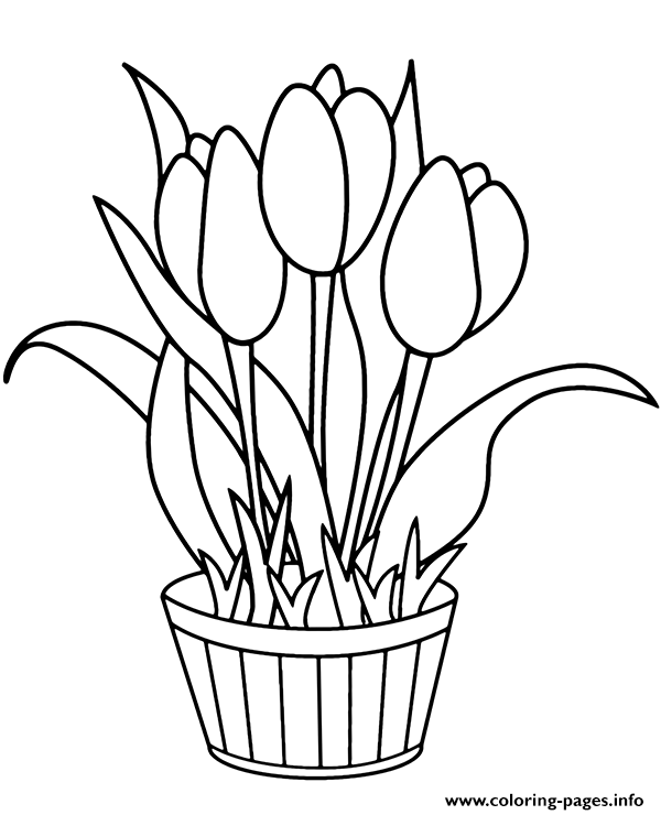 Download Pot With Tulips Coloring Pages Printable