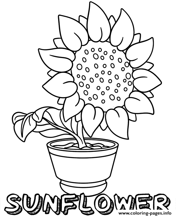 Sunflower In Pot Flower Coloring page Printable