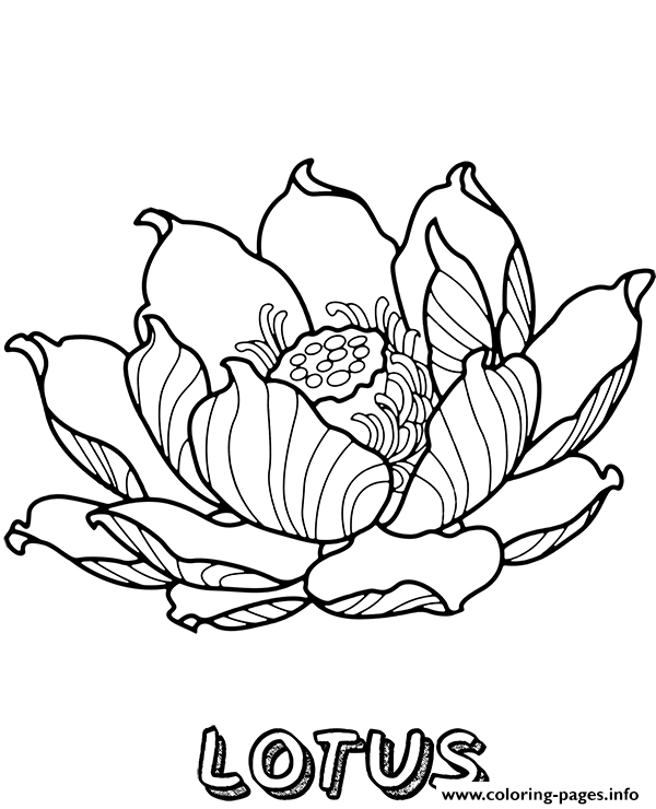 Lotus Flower To Print coloring