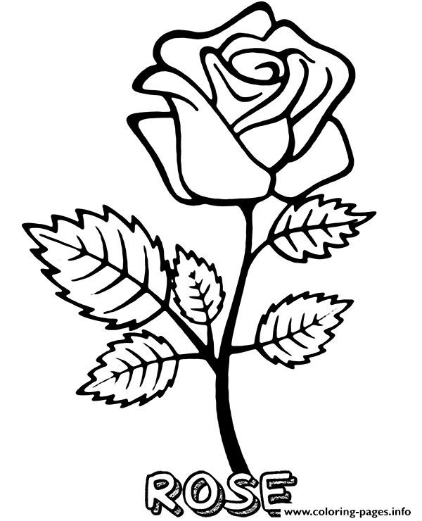 Rose Flower To Print coloring