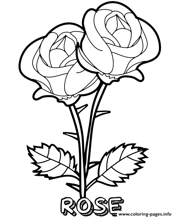 rose two flowers coloring pages printable