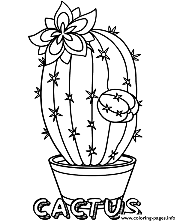 cactus coloring flower printable pot flowers sheet kaktus sheets topcoloringpages gemerkt von