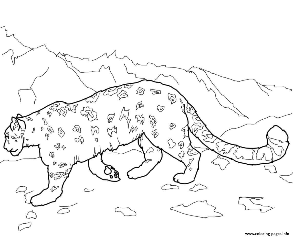 Snow Leopards Animal Coloring Pages Printable