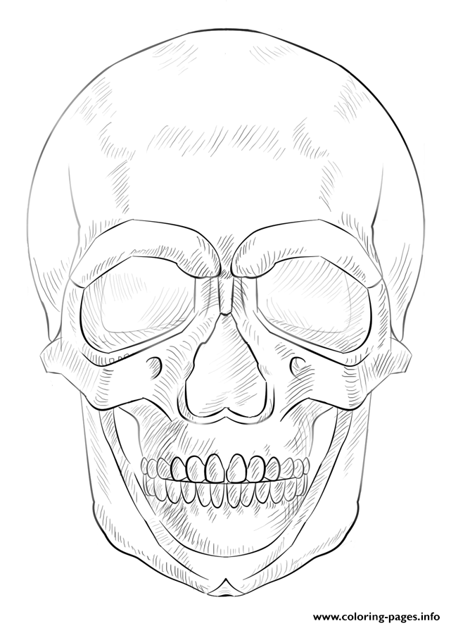 Human Skull By Lena London Coloring Pages Printable