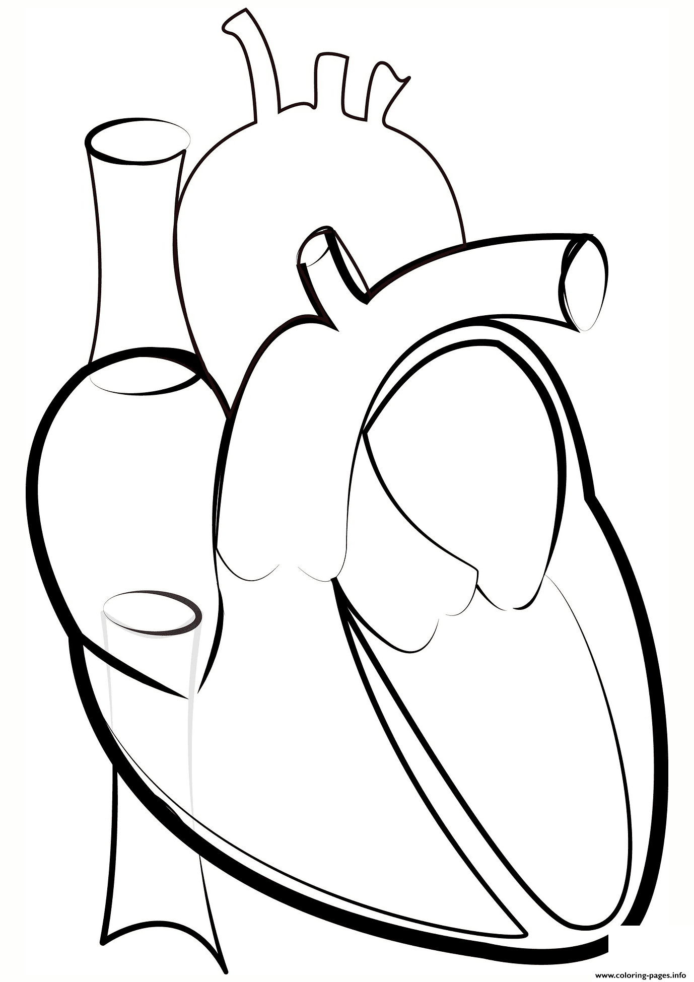 Heart Outline coloring