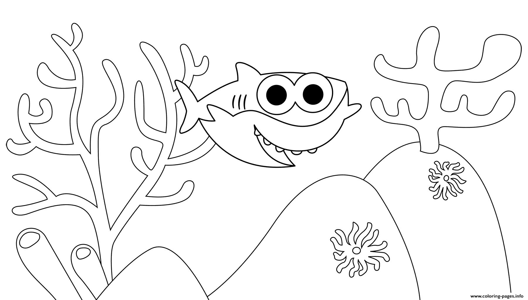 Baby Shark Coloring Pages Png