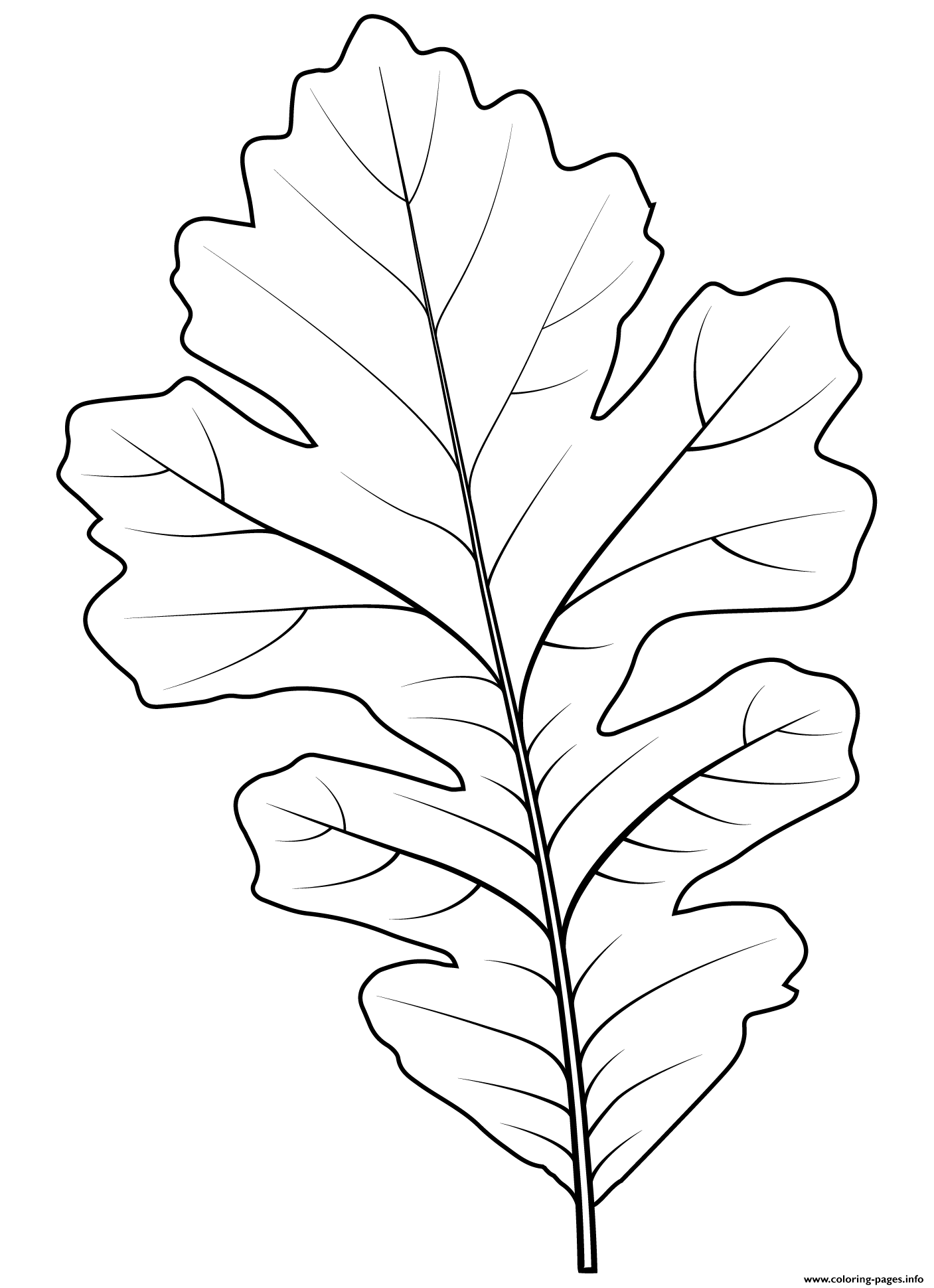 bur-oak-leaf-coloring-page-printable