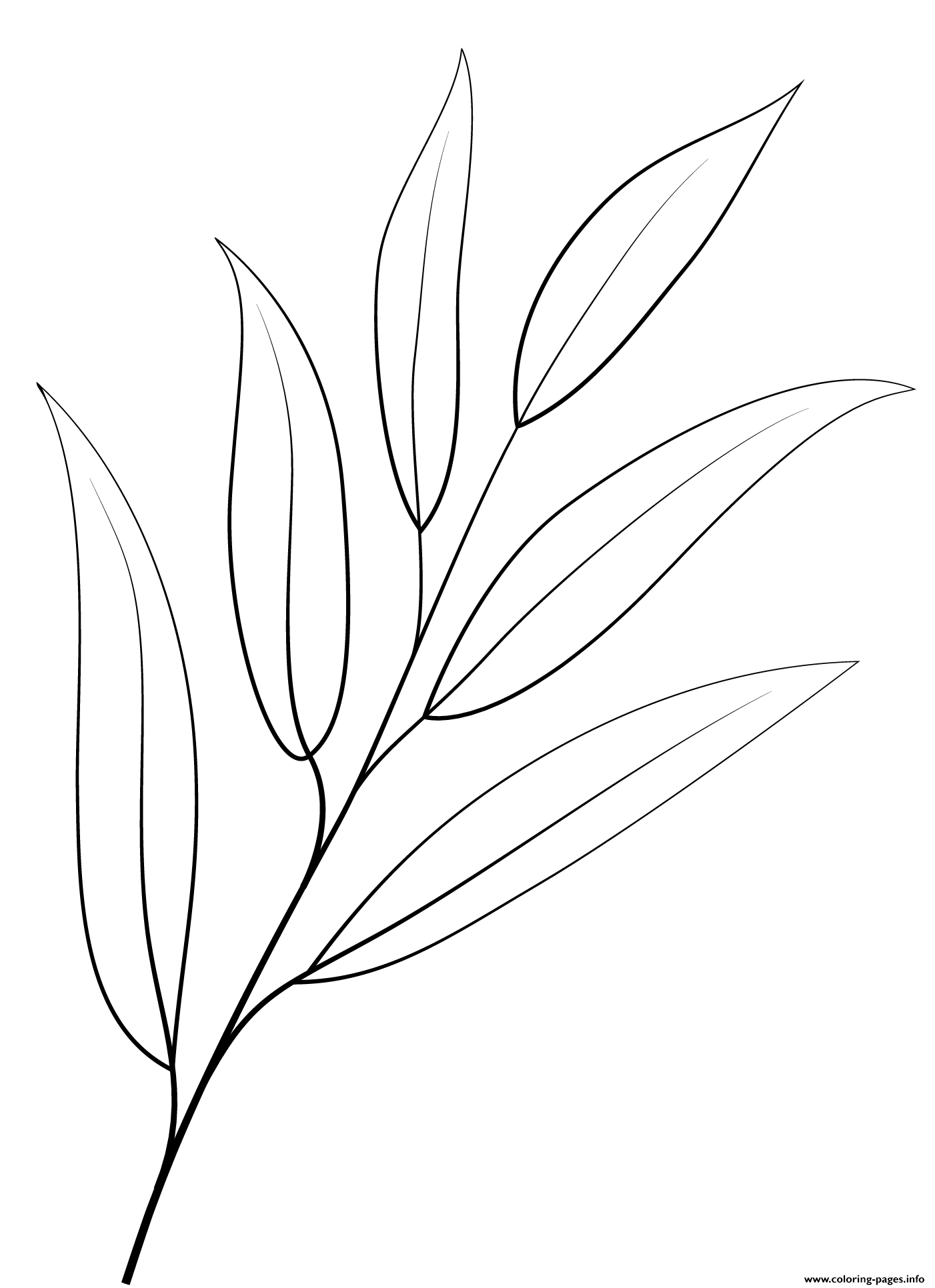 Willow Oak Leaf Outline Coloring page Printable
