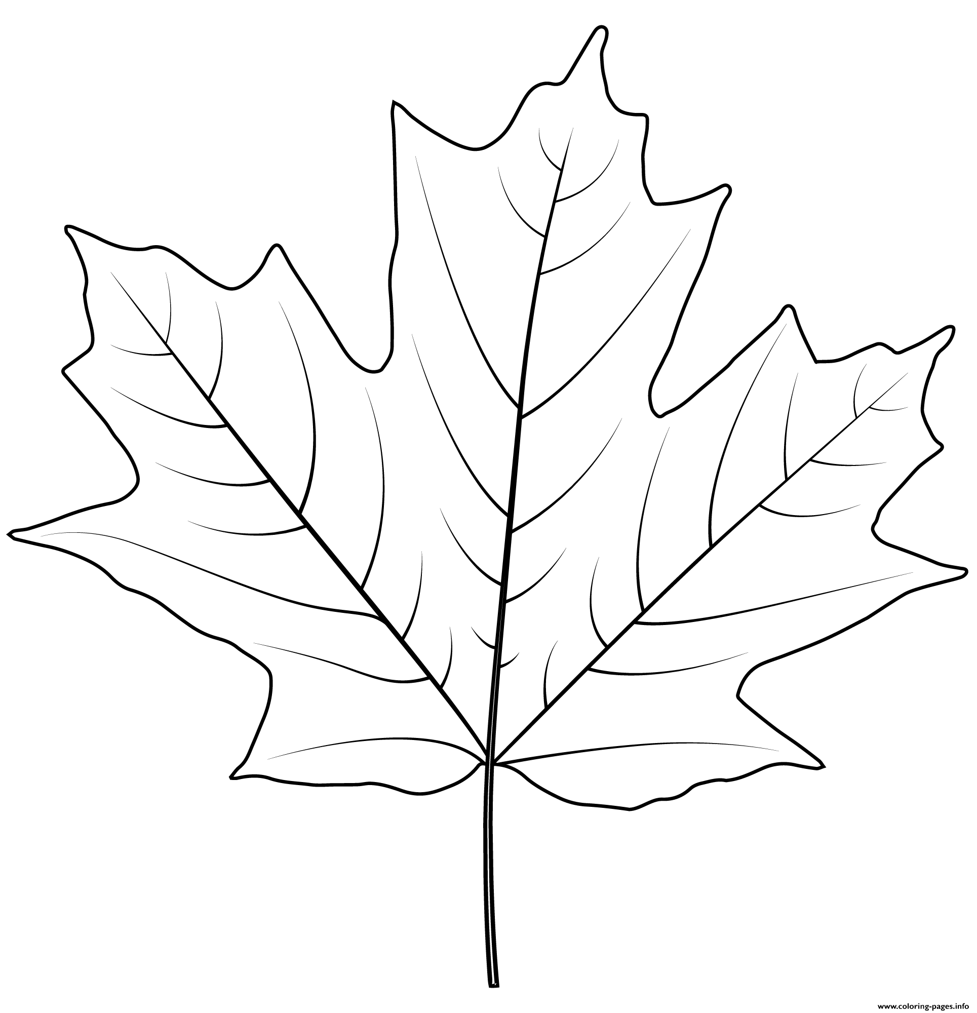 Sugar Maple Leaf Coloring Pages Printable